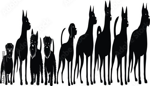 Dog breed silhouettes lineup showing different domestic dogs sizes and shapes isolated on white background pet diversity concept illustration