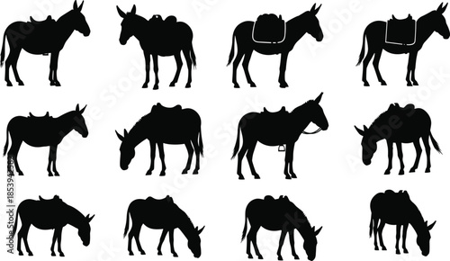 Donkey silhouettes set showing pack animals standing and grazing in various poses isolated on white background rural livestock illustration