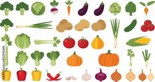  Large Flat Vector Illustration Set of Fresh Garden Vegetables Including Broccoli Pumpkin Tomato Garlic Onion Peppers Carrots and Cabbage Isolated on White.