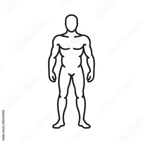Simple black and white outline of a muscular human body front view