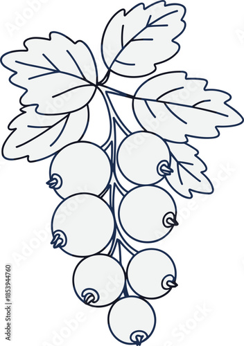 Bunch of Dark Berries on a Stem with Leaves fruit cluster