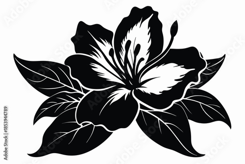 azalea silhouette line art vector illustration with a white background