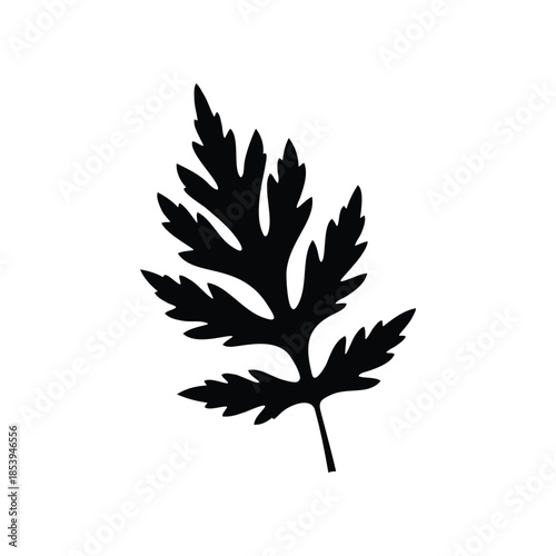 Ragweed leaf silhouette vector flat illustration design.