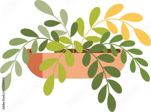 Wide Terracotta Pot Filled with Spreading Green and Yellow Leaves plant potted plant