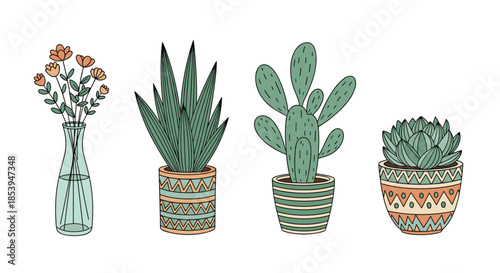 Collection of four hand-drawn potted plants including succulents a cactus and flowers in a vase and decorative pots.
