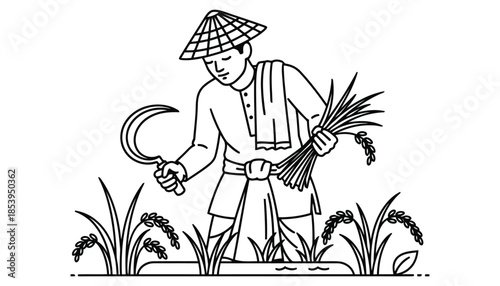 A traditional farmer harvesting rice in a field with a sickle and conical hat