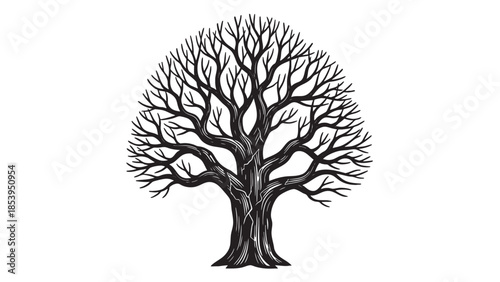 A striking black silhouette of a bare tree with intricate branching patterns stands starkly against a clean white background, evoking a sense of winter or dormancy.