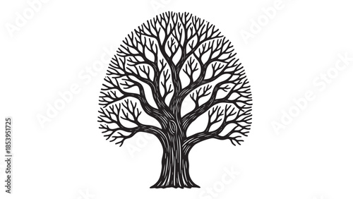 A stark black ink illustration of a bare deciduous tree, showcasing its intricate branches and textured trunk against a clean white background, perfect for conceptual design.