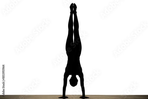 silhouette of a woman in a black dress
