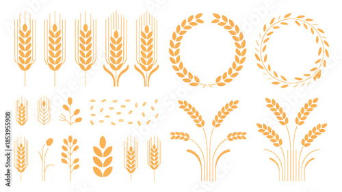 Golden set of ripe wheat and cereal grain ears featuring a natural autumn harvest design for agricultural food vector illustrations