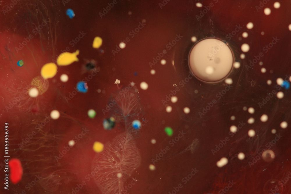 Obraz premium Liquid Art in Flowing Color