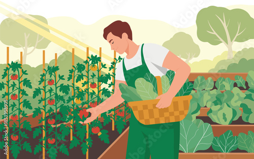 A gardener harvesting fresh vegetables in a lush garden from a high viewpoint