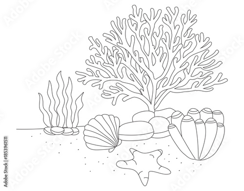 Corals formation with shell and starfish underwater outline style illustration