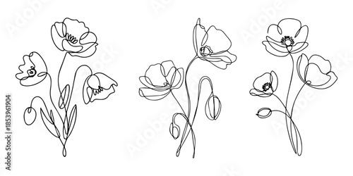 Flowers vector set illustration in simple minimal continuous outline line style, Poppy flowers in continuous line art drawing style. Minimalist black linear design isolated on white background. Vector
