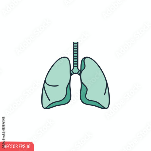 An anatomical illustration of lungs, trachea, colored teal, outlined in dark teal