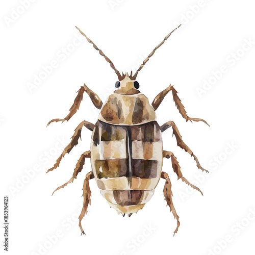 a_louse_on_a_white, A vectorized, Hand-painted style, vector set available in EPS An Elegant watercolor painting design collection
