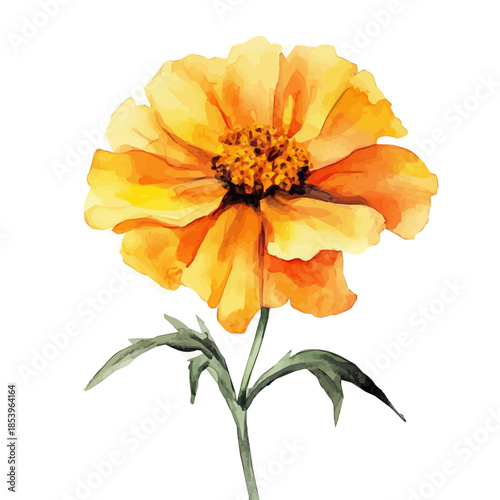A vectorized, Hand-painted style, vector set available in EPS An Elegant watercolor painting design collection_Watercolor_style_painting_of_a_marigold_flower