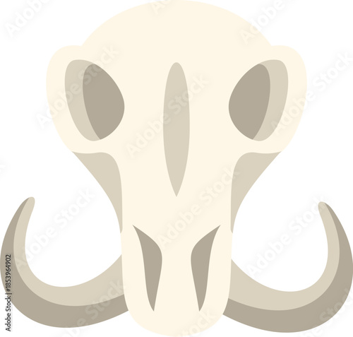 Walrus skull with big tusks isolated on white background representing extinction and climate change