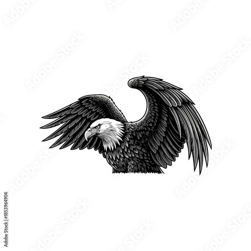 Eagle with Outstretched Wings Illustration In Black And White.