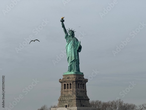 Statue of Liberty Close With Seagull