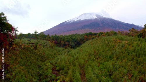 植林地帯から大きな山へ