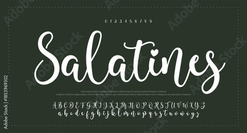 Signature Font Uppercase Lowercase And Number. Script Font Calligraphy Logotype elegant Font Type Font lettering handwritten. vector illustration 