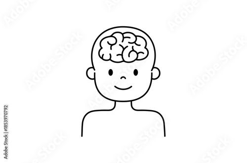 脳のイラスト