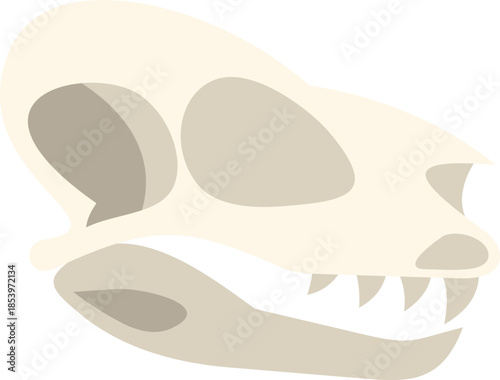 Side view of a dinosaur skull fossil, highlighting its sharp teeth, empty eye sockets, and nasal cavity