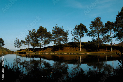 reflection of trees on the lake