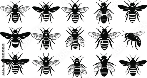 Bee silhouette collection, flying honeybee insect poses set, black vector animal icons, nature wildlife illustrations isolated white background