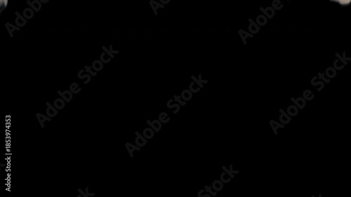 3D animation of dirty, worn soccer balls falling to fill the screen. Scuffed football equipment transition with alpha channel.