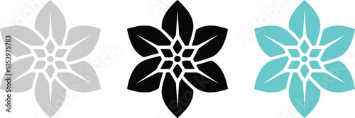 Modern minimalist floral silhouette vector icons in black grey and teal for organic beauty branding nature themes and botanical graphic design elements.