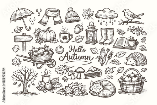 Autumn Season and Fall Elements Line Art Illustration Set Featuring Nature Objects, Cozy Lifestyle Items, and Seasonal Decorations in Hand Drawn Vector Style