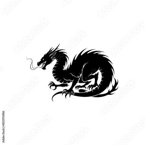 Dragon silhouette in dark mythical form.