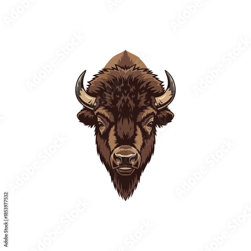 Illustrated buffalo head portrait front view.