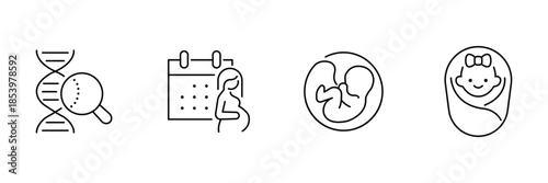 Pregnancy genetics icon set, DNA screening research, prenatal calendar schedule, fetus development stage, newborn baby girl swaddle outline illustration.