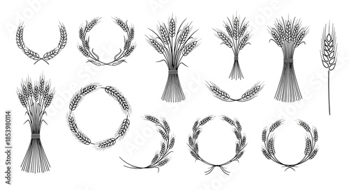 A collection of wheat sheaves and laurel wreaths in a classic black and white engraving style symbolizing harvest agriculture and victory.