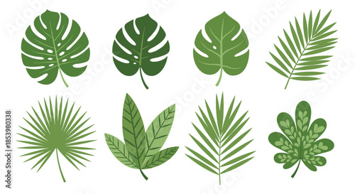 A beautiful collection of eight different green tropical leaves including monstera and palm fronds for exotic summer-themed design projects.