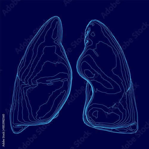 A human lungs contour drawing in blue with white outline creates stark contrast on a dark blue background. This medical illustration emphasizes respiratory anatomy.