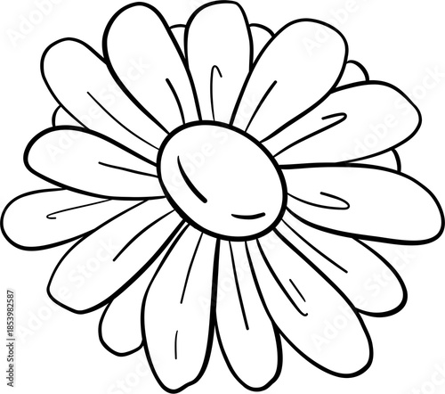 flower line drawing