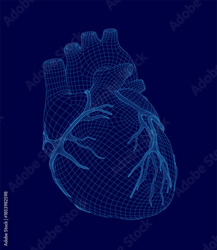 A detailed 3D wireframe model of a human heart, showcasing its complex internal anatomy and vascular structure against a solid blue background.