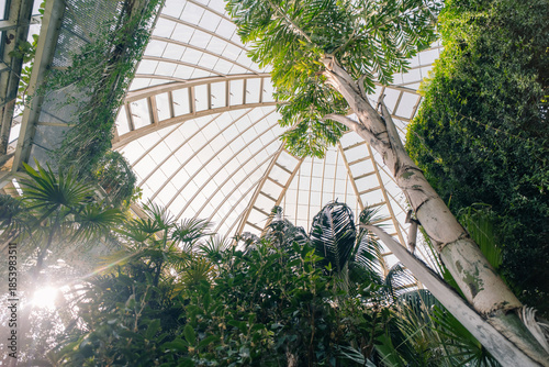 Conservatory and Botanical Garden of the city of Geneva is a museum and an institution in Geneva city in Switzerland