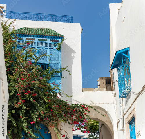 Sidi Bou Said Facades