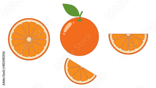 Orange fruit and slices vector illustration isolated on white background