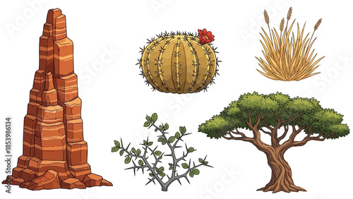 Collection of desert plants and rock formations