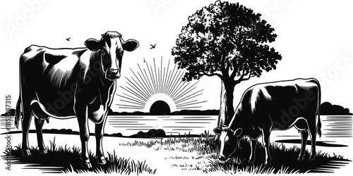 Rustic Farm Landscape Illustration Featuring Dairy Cows Grazing in a Field During a Scenic Sunrise
