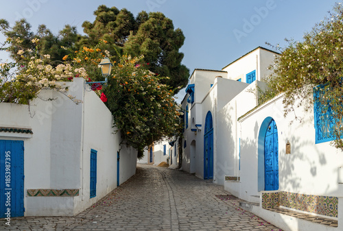 Sidi Bou Said Streets