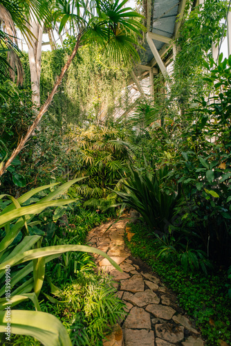 Conservatory and Botanical Garden of the city of Geneva is a museum and an institution in Geneva city in Switzerland