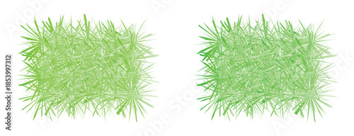Abstract green textured grass patches, decorative nature and foliage element graphics