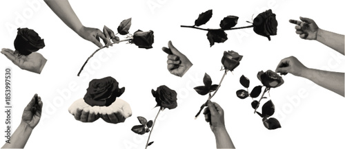 Vintage elements rose and hands with a retro halftone effect. Vector illustration isolated on transparent background.